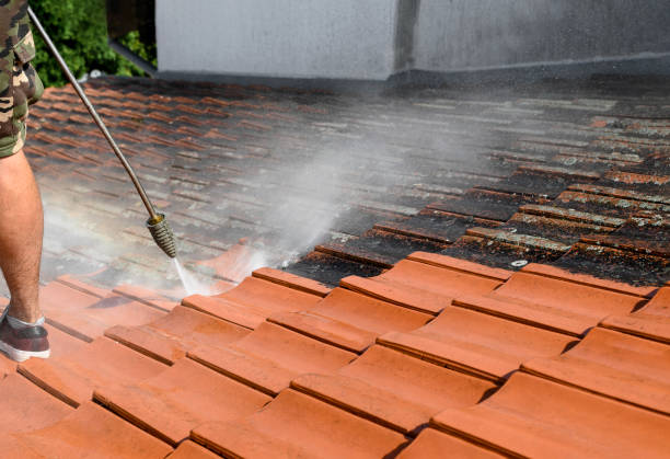 Best Power Washing Near Me  in Cherryvale, SC